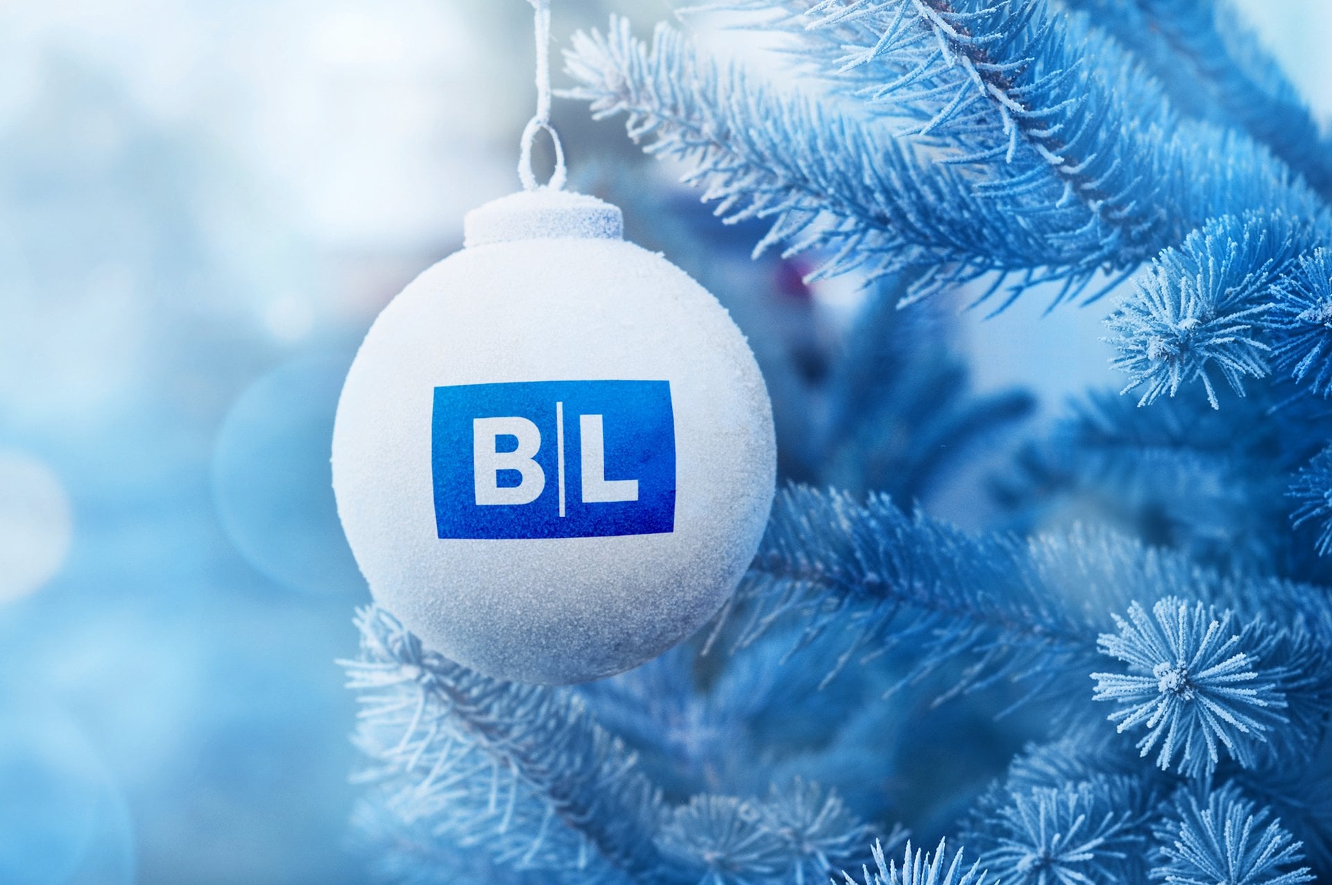 NM029829 Jólalokun BL forsíðumynd 3840 x 2550 2